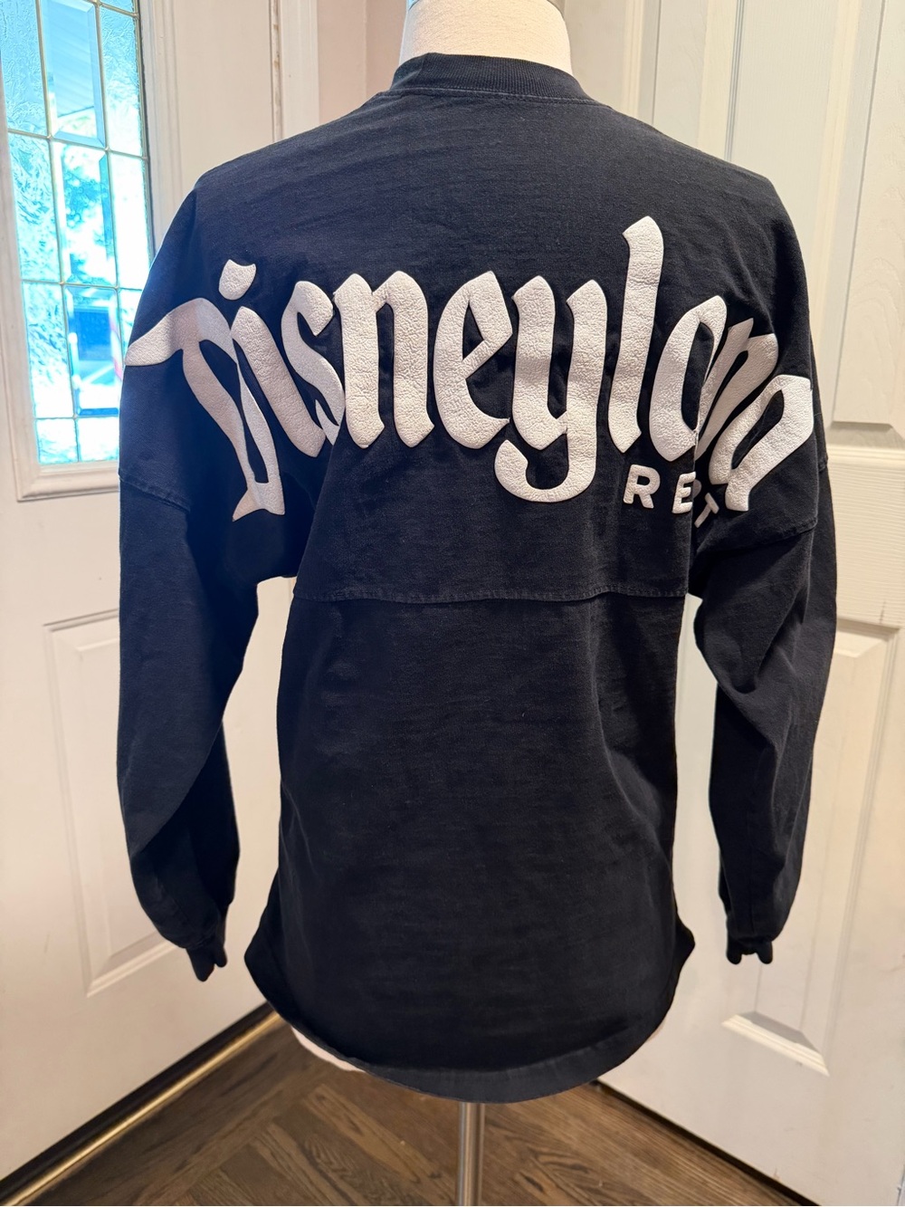 Disney Disneyland Resort Spirit Jersey